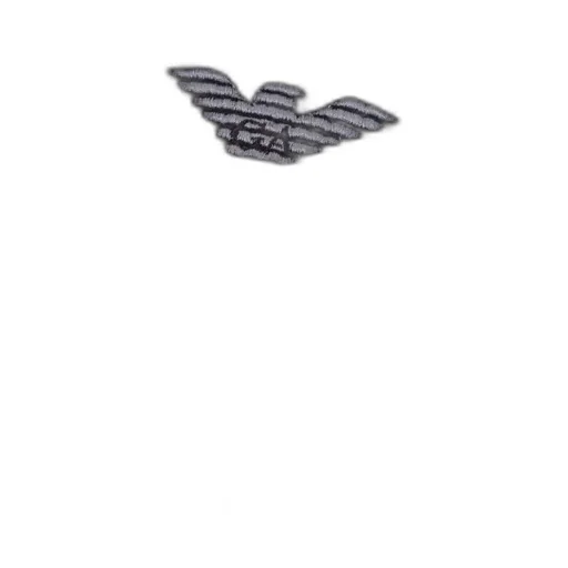 Emporio Armani Logo Embroidered Beanie Scarf Set