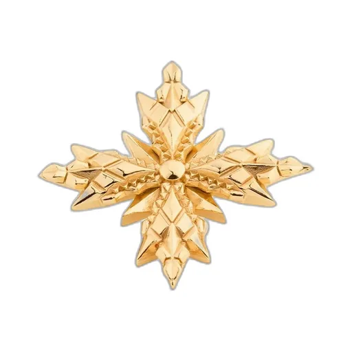 Emanuele Bicocchi Large Stella Ventis Brooch