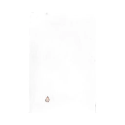 Dsquared2 Paint Splatter Detailed Drawstring Hoodie
