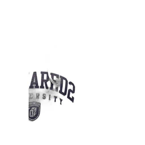 Dsquared2 Logo Printed Drawstring Hoodie