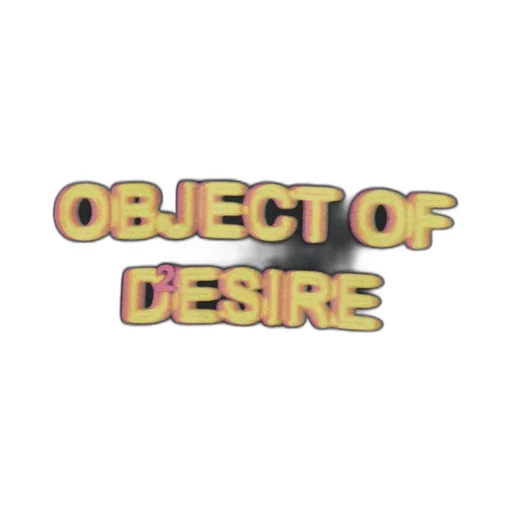 Dsquared2 Object Of Desire Printed Sweatshirt