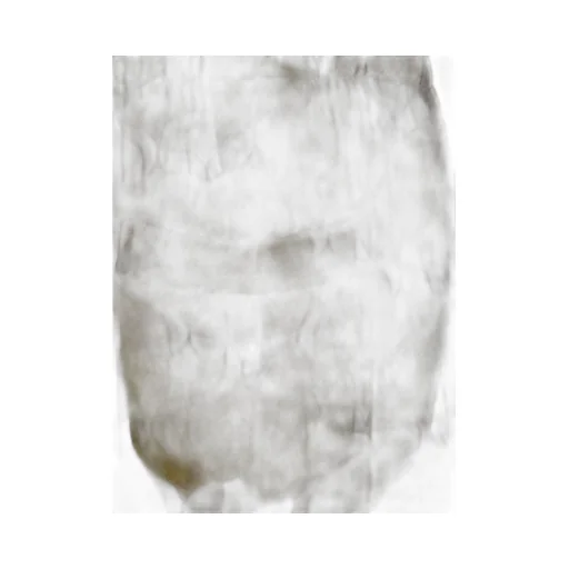 Dries Van Noten Graphic Printed Drawstring Shorts