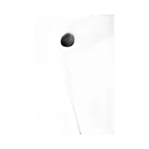 Dolce & Gabbana Gabardine Tuxedo Tailored Pants