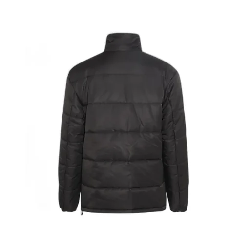 Dolce & Gabbana High Neck Zipped Padded Jacket