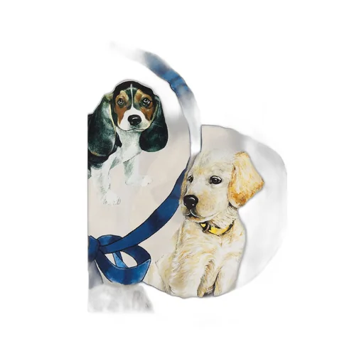 Dolce & Gabbana Dog Printed Scarf
