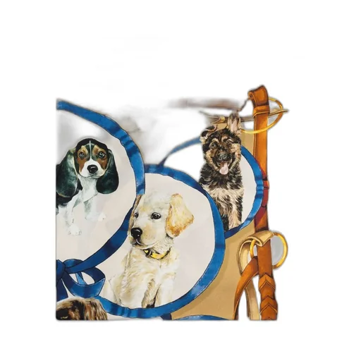 Dolce & Gabbana Dog Printed Scarf