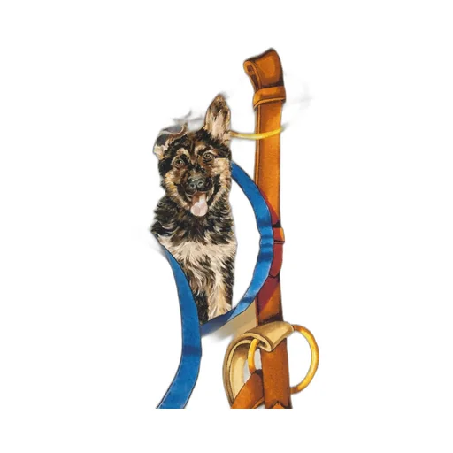 Dolce & Gabbana Dog Printed Scarf