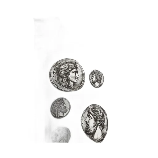 Dolce & Gabbana Coin Printed Zipped Jacket