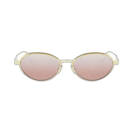 Dior Eyewear Oval Frame Sunglasses