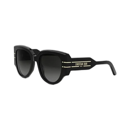 Dior Eyewear Diorsignature R2I Round-Frame Sunglasses