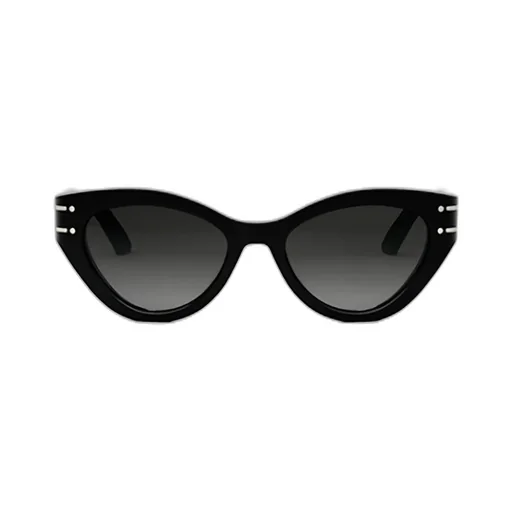 Dior Eyewear Diorsignature B7I Butterfly Sunglasses