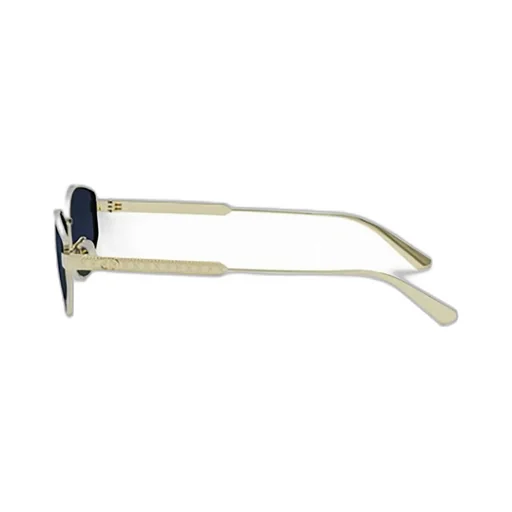 Dior Eyewear Oval Frame Sunglasses