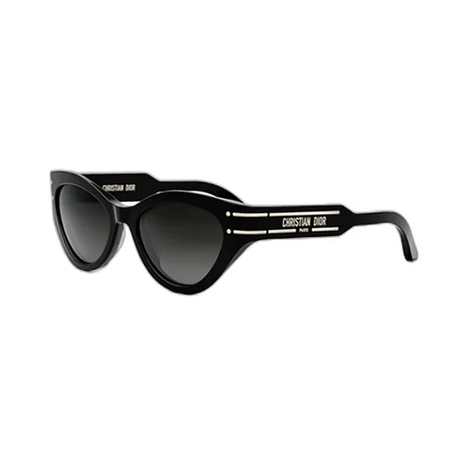 Dior Eyewear Diorsignature B7I Butterfly Sunglasses