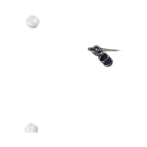 Dior Homme Embroidered Buttoned Shirt