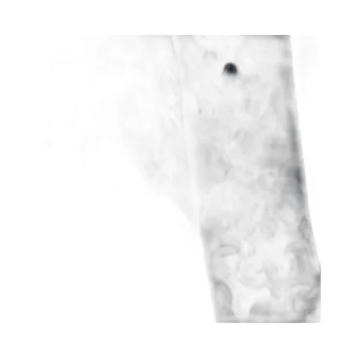 Dior Homme X Peter Doig Camouflage Hooded Anorak