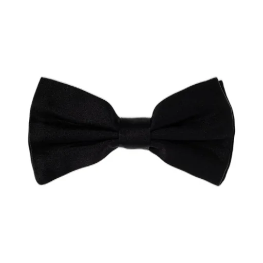 Dolce & Gabbana Bow Tie