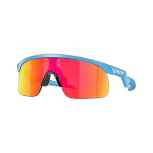 Oakley Resistor Sunglasses