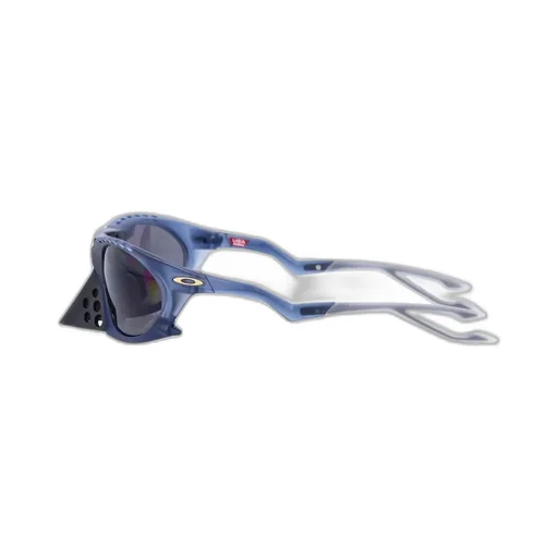 Oakley Plantaris Cat-Eye Sunglasses