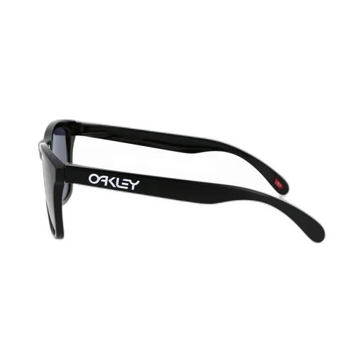 Oakley Frogskins Cat Eye Frame Sunglasses
