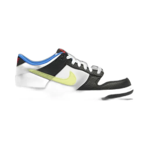 Nike Dunk Low-Top Sneakers
