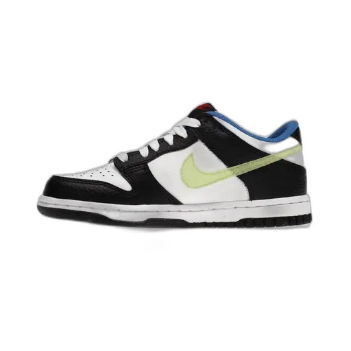 Nike Dunk Low-Top Sneakers