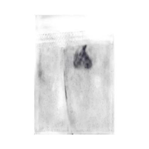 Yankees Serif Roller Short / Dark Nvy
