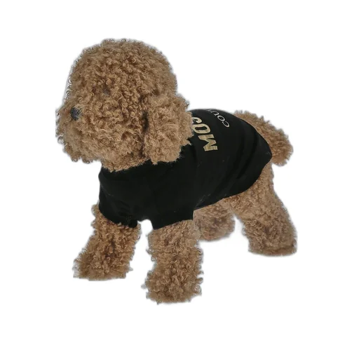 Moschino Logo Printed Jersey Dog T-Shirt