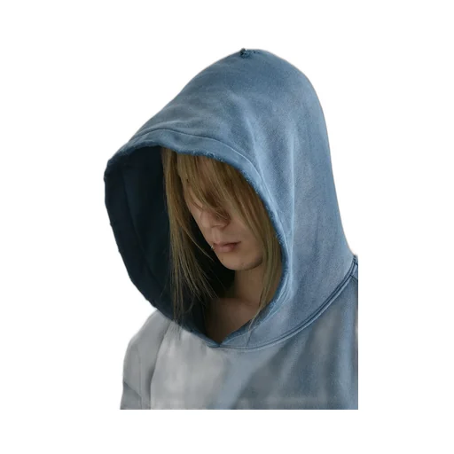 Classic Logo Hoodie / Sunfade Blu