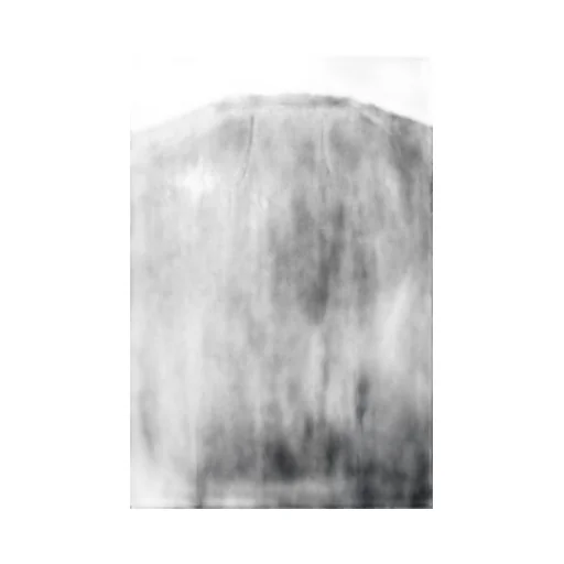 Wildness T-Shirt / Blk