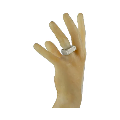 Plate Ring Single / Sil