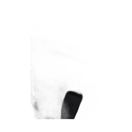 Small Messenger / Black Black