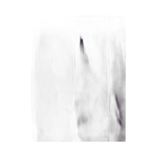Needles C/Pe Velour Boot-Cut Track Pants
