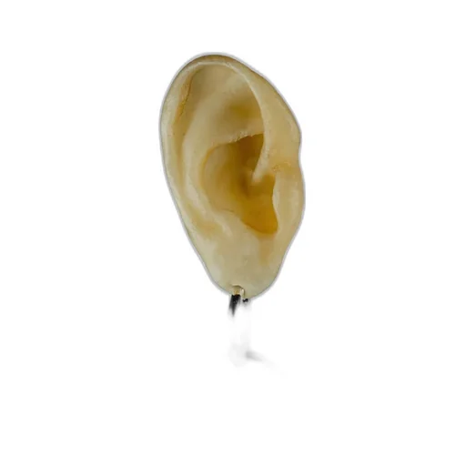 Hoop Earring V2 / Sil