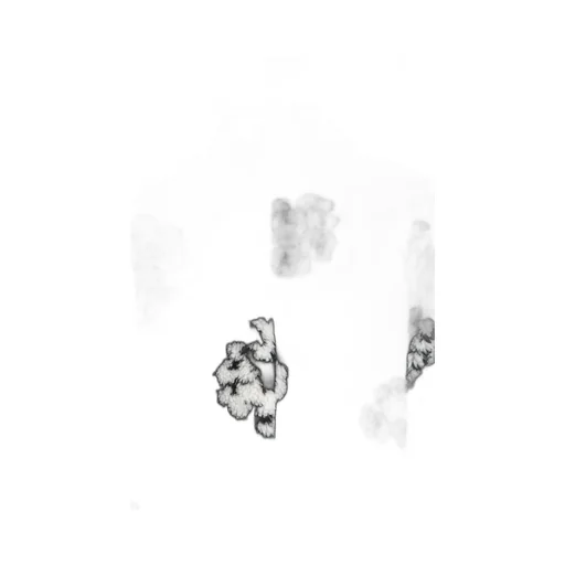 Dt_Fur Coat/Ct Wreath / Blk