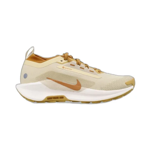 Nike Pegasus Trail 5 Gore-Tex Sneakers