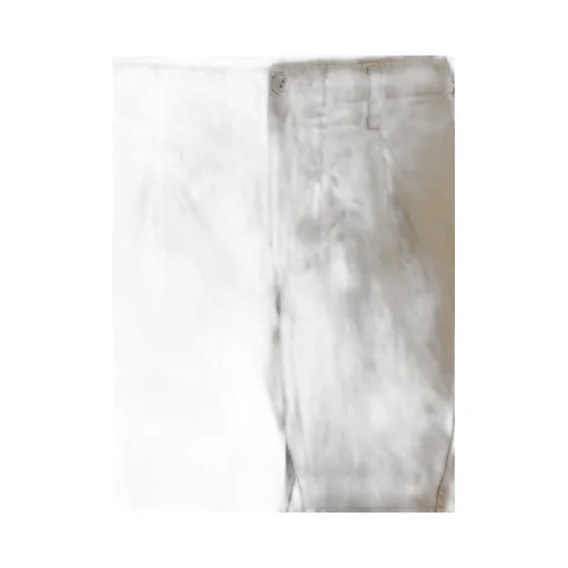 Nonnative Cargo Pants