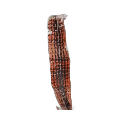 Bloomer Shorts / Orange