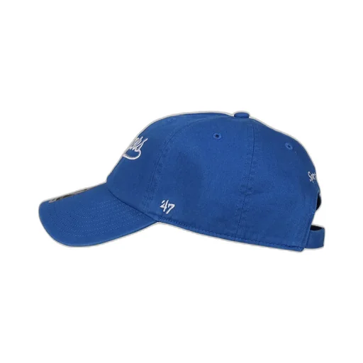 Stadium Hat / Team Blu