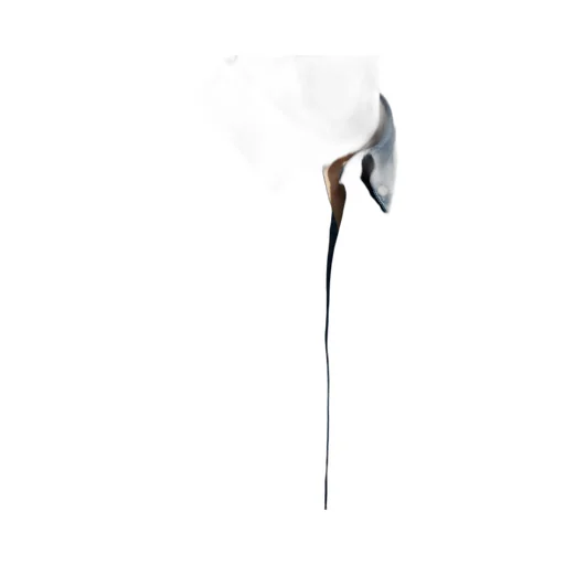 Officine GÉNÉRale Classic Button-Up Shirt