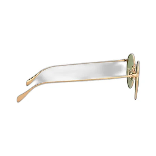 Oliver Peoples Coleridge Sunglasses