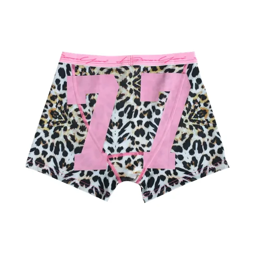 Ysww Lsy Compression Briefs / Cheetah