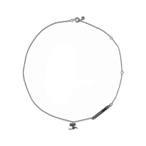 Ac Chain ​​Necklace / Sil