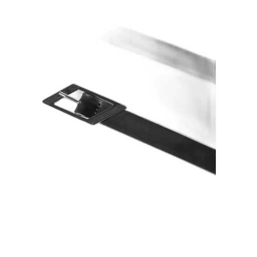 Belt / Black