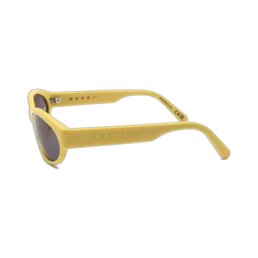 Marni Eyewear Oval Frame Sunglasses