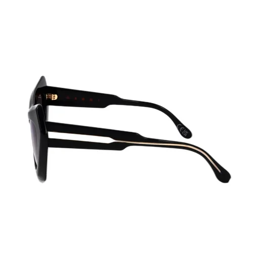 Marni Eyewear Devil's Pool Cat Eye Frame Sunglasses