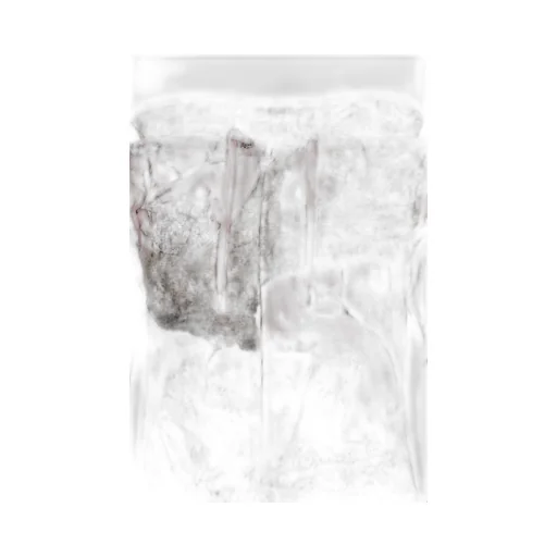 Realtree Velor Robertson Hoodie / Pink Edge