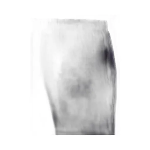 Majestic Drawstring Waist Pants