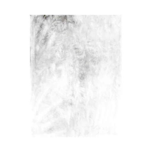 Marcelo Burlon County Of Milan Feathers Printed Shorts