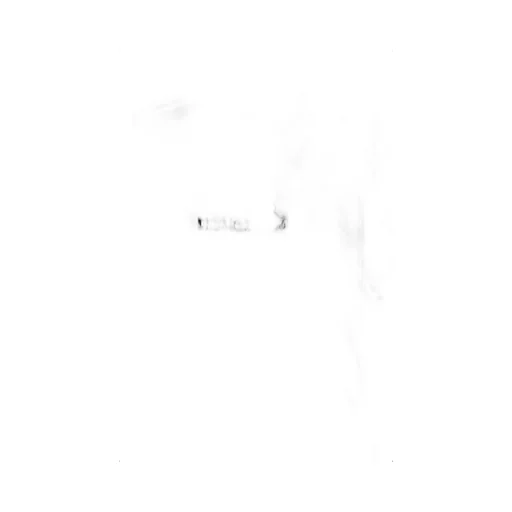 Ss T-Shirt / Wht