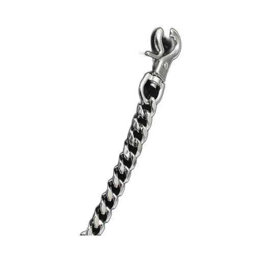 Shine Wallet Chain ​​/ Sil
